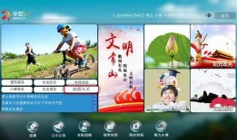 潮州精彩爆料新闻视频下载,揭秘最新爆料新闻视频背后的精彩瞬间