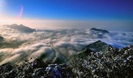 大渝网爆料台最新金佛山,揭秘最新奇自然奇观！”